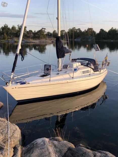 Albin Scampi 30 | Lady Godiva