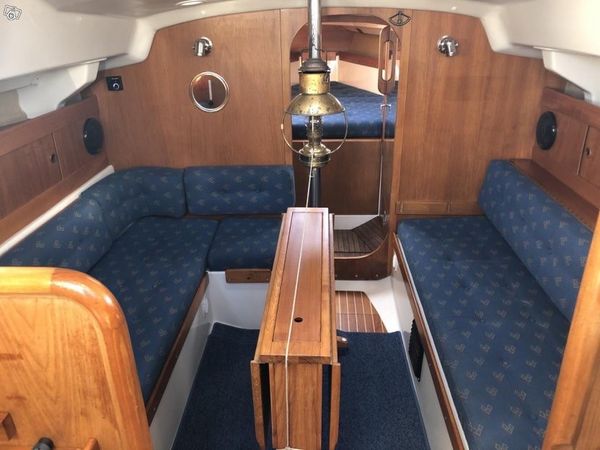 Albin Scampi 30 | Lady Godiva