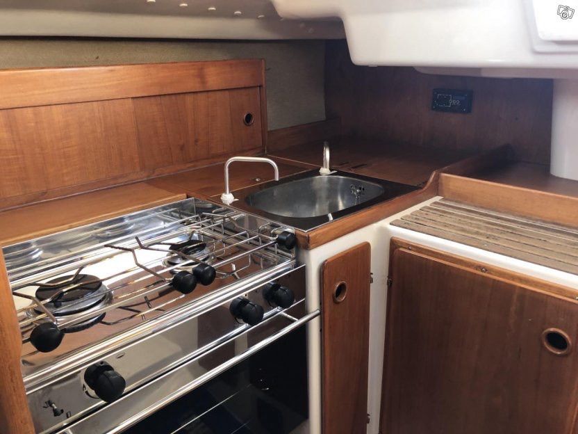 Albin Scampi 30 | Lady Godiva