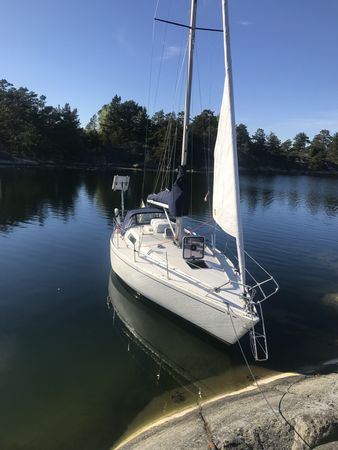 Albin Scampi 30 | Lady Godiva