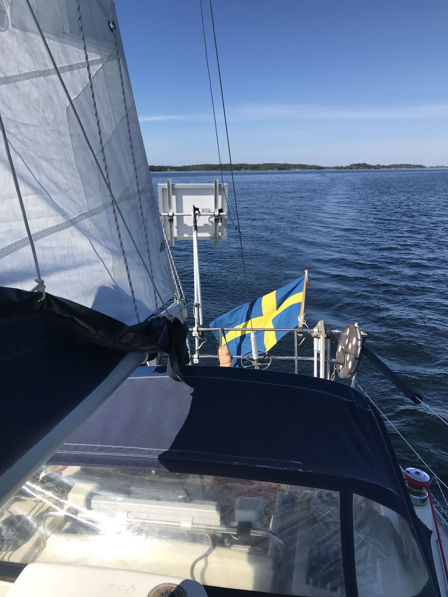 Albin Scampi 30 | Lady Godiva