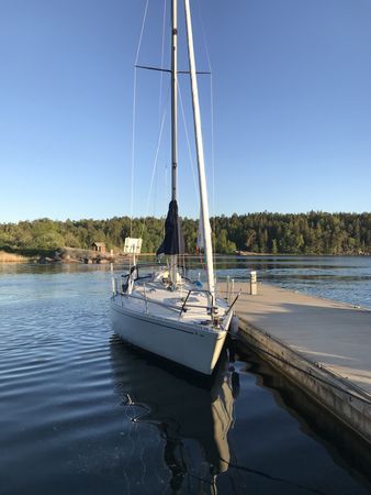 Albin Scampi 30 | Lady Godiva