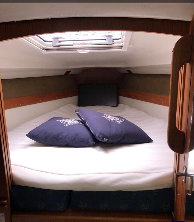 Albin Scampi 30 | Lady Godiva