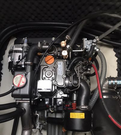 Albin Scampi 30 | Lady Godiva