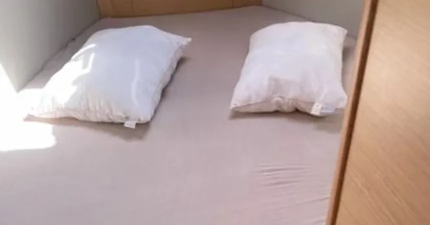 Dufour 390 | Swell13