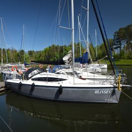 Northman Maxus 33.1 | Ulisses