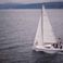 Northman Maxus 28 | Fira