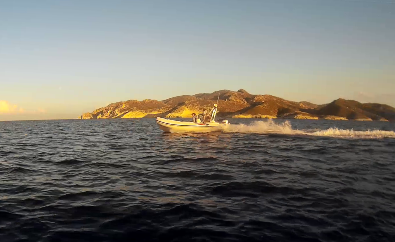 Selva 5.3 | Flying Carpet