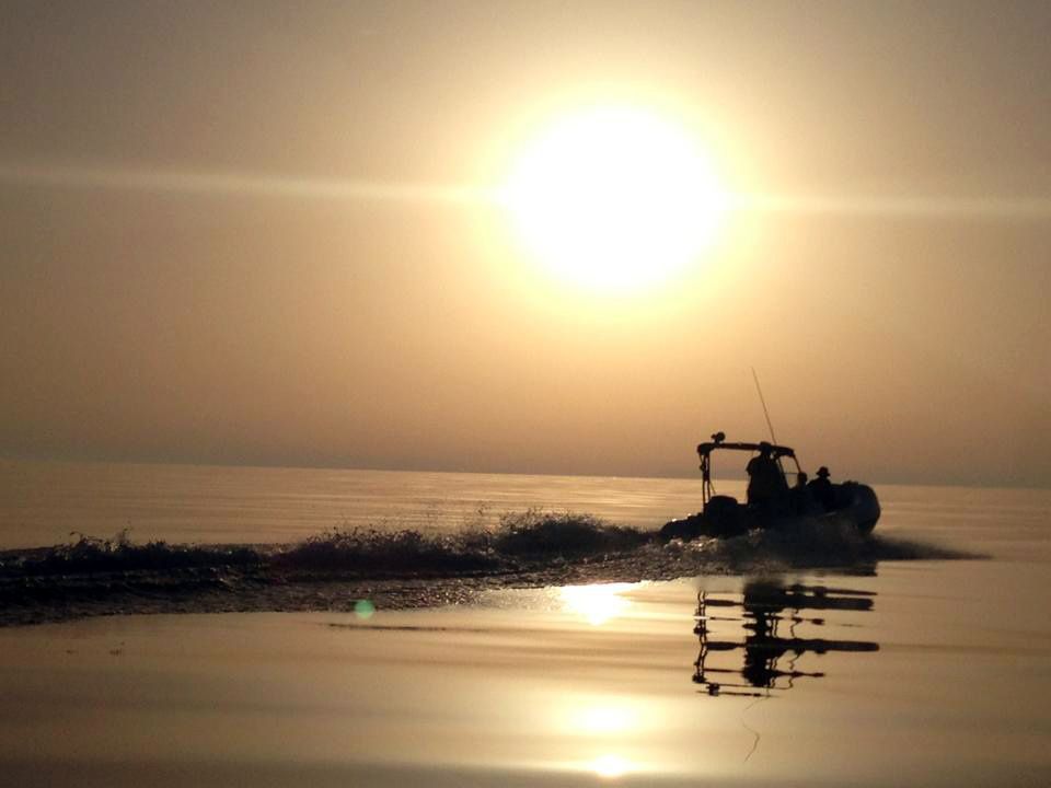 Selva 5.3 | Flying Carpet