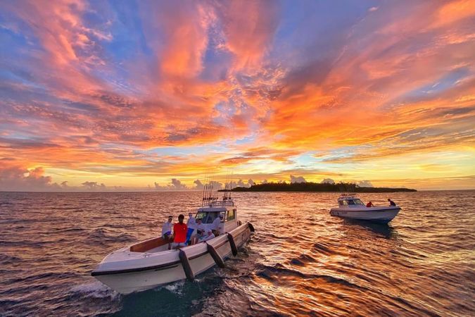 Custom Built 122 | Princess Ulua