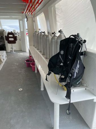 Custom Built 122 | Princess Ulua