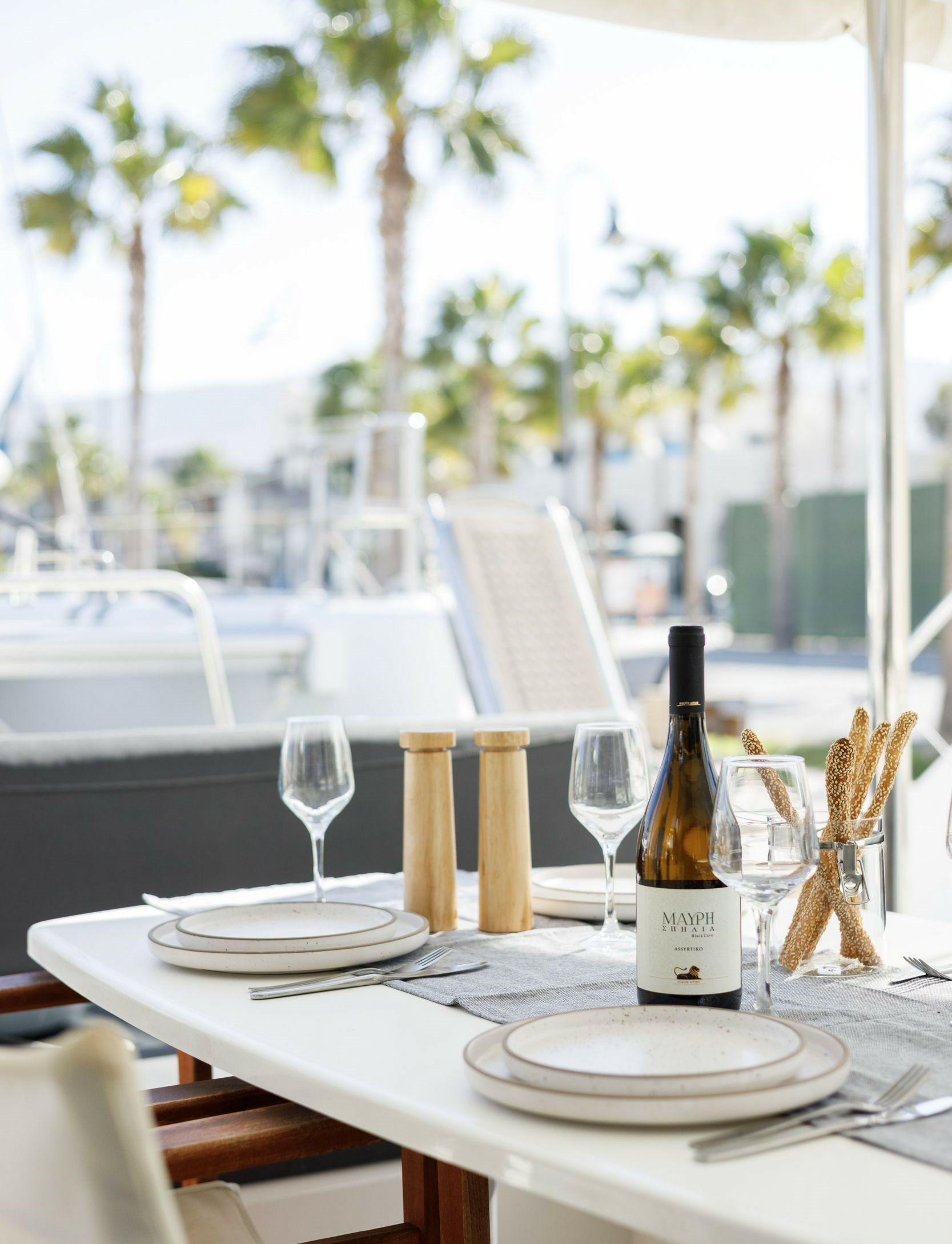 Lagoon 450 F | Greis