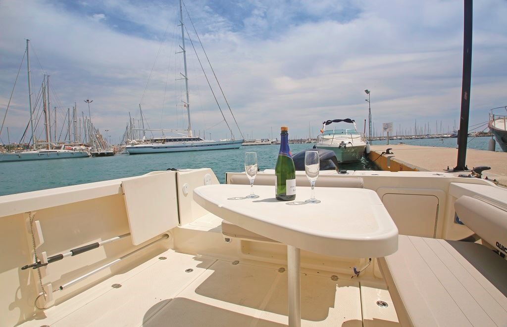 Quicksilver Captur 755 Pilothouse | Papua