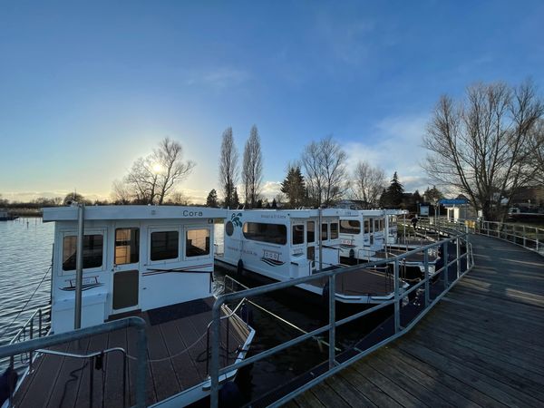 Rollyboot Max | Cora