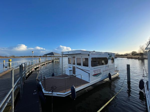 Rollyboot Max | Cora