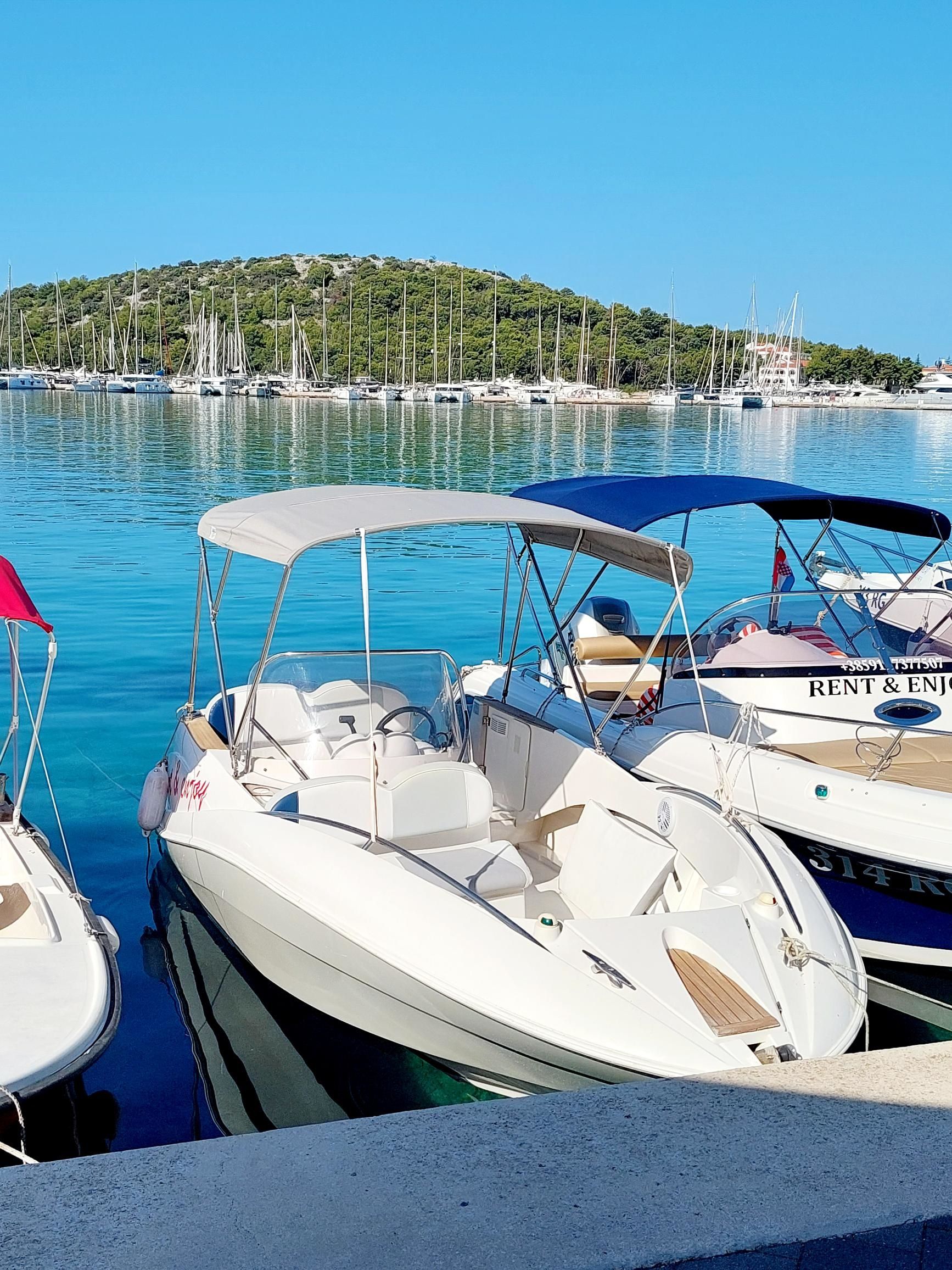 Quicksilver 505 | Commander