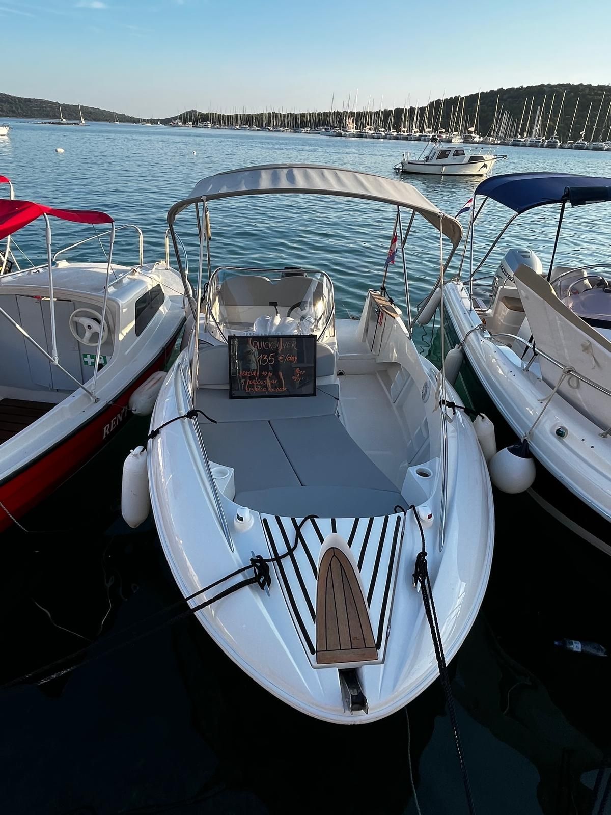 Quicksilver 505 | Commander