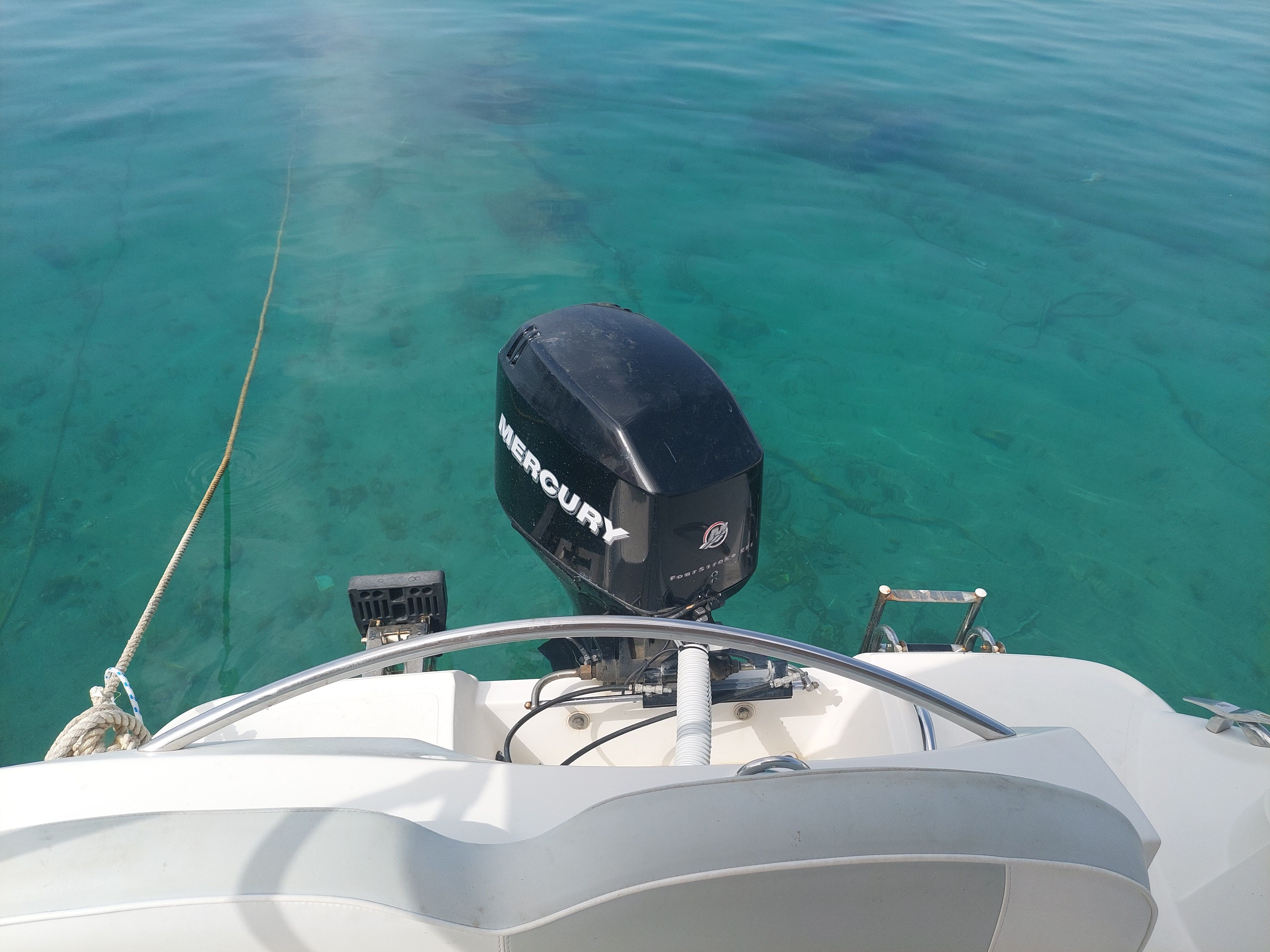 Quicksilver 505 | Commander