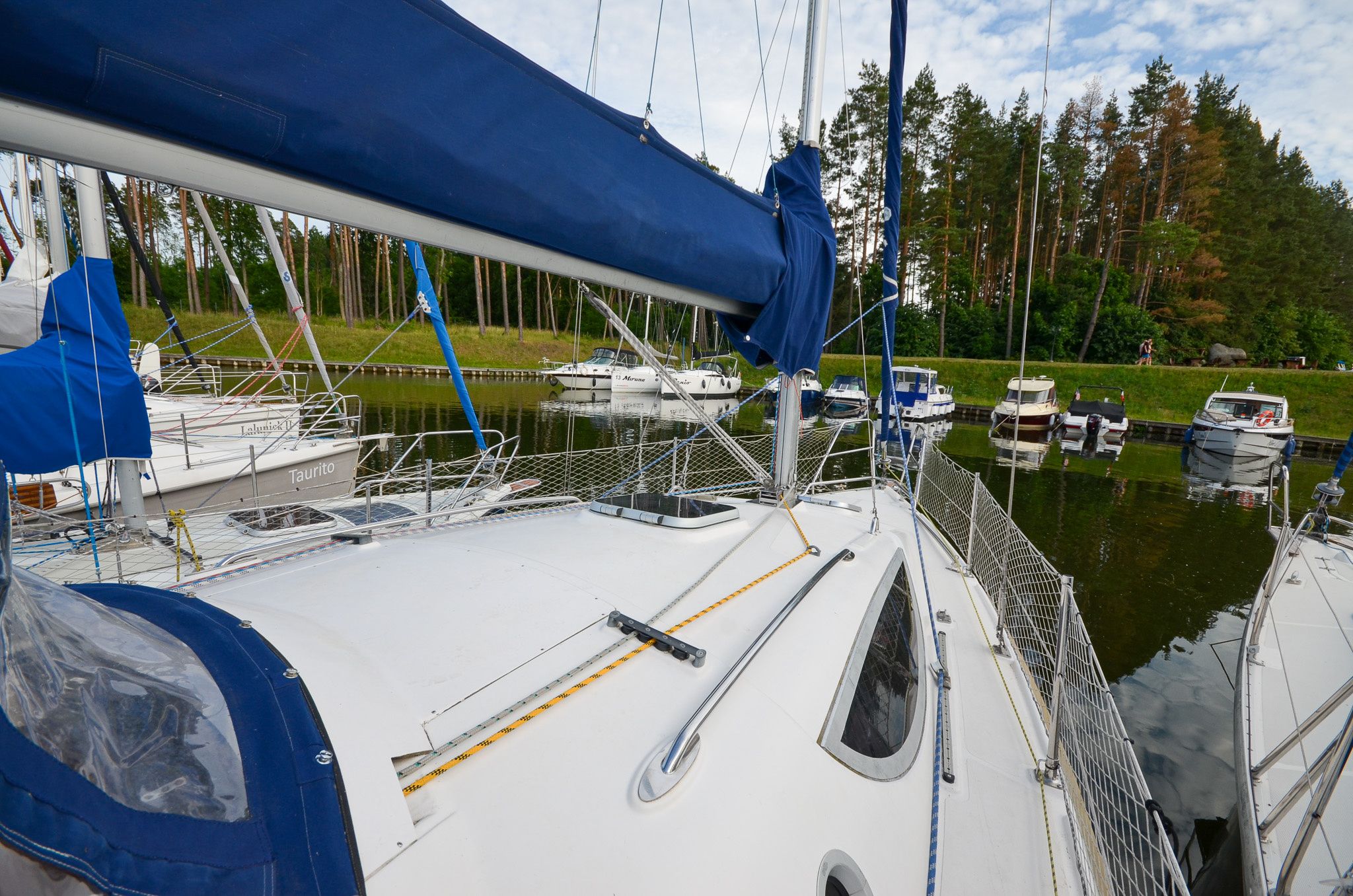 Northman Maxus 33 | 14