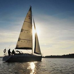 Northman Maxus 33 | 14