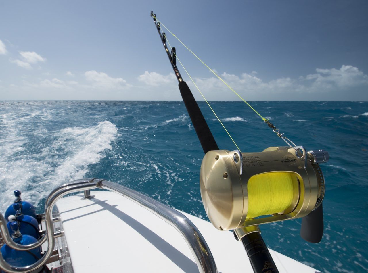 Prout 83 | Blue Gryphon