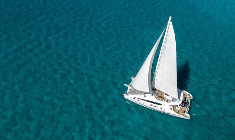 Prout 83 | Blue Gryphon