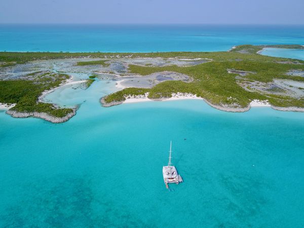 Prout 83 | Blue Gryphon