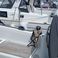 Jeanneau Sun Odyssey 380 | Elwing