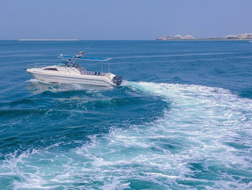 Silvercraft 34 | Wukong 2