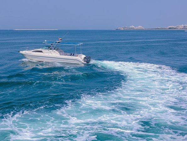 Silvercraft 34 | Wukong 2