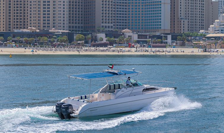 Silvercraft 34 | Wukong 2