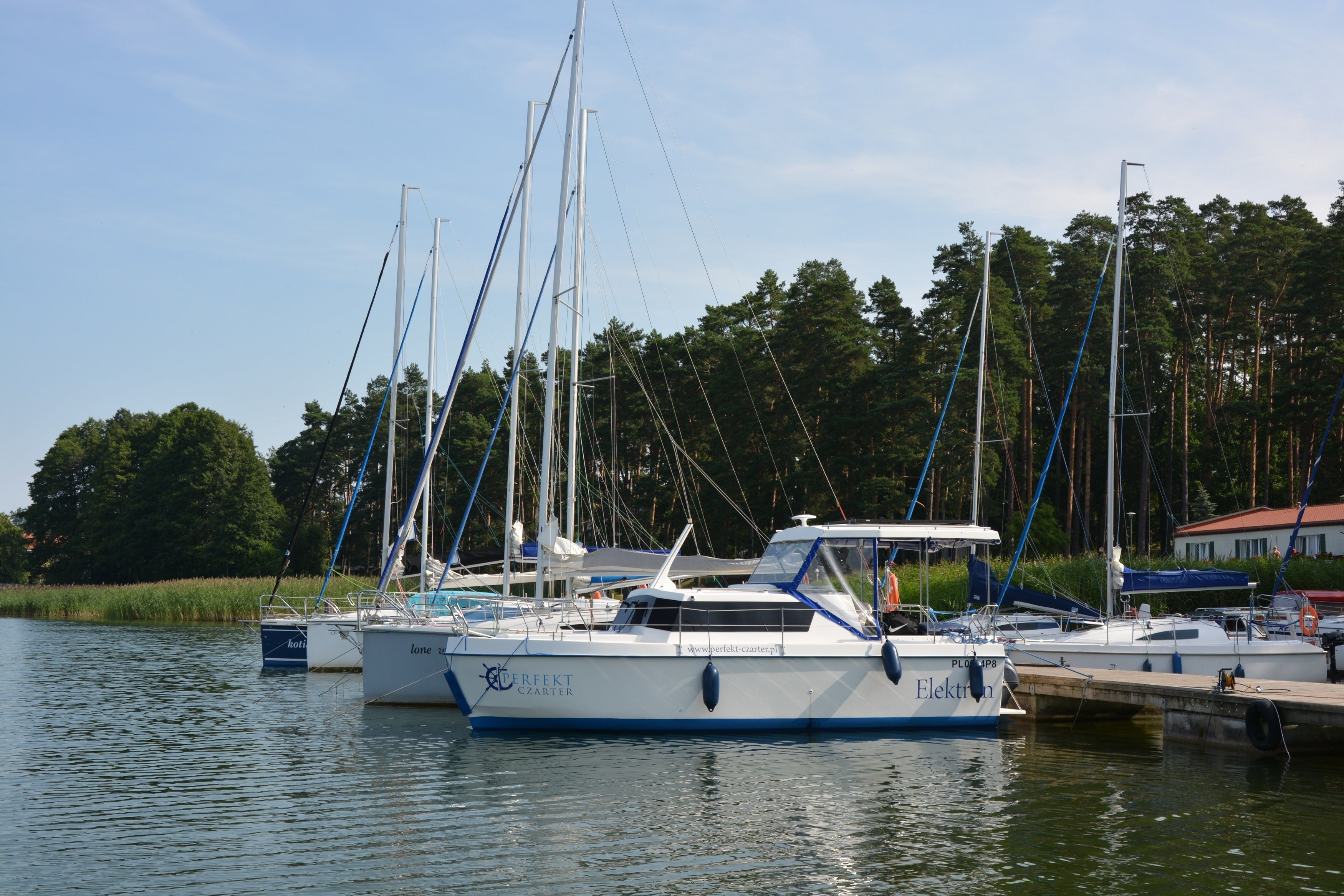 Relaks 720 | Elektron