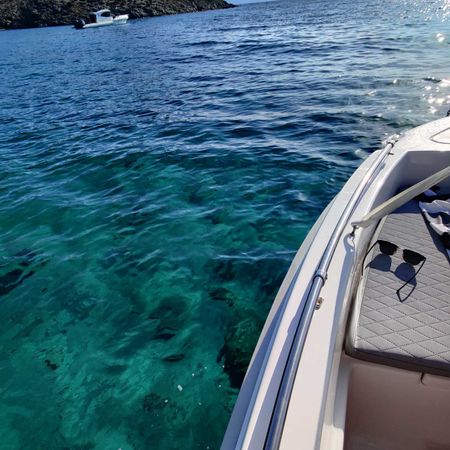 Nikita 499sv | Amfitriti