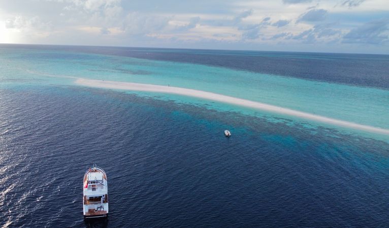 Falcon 650 | Fascination