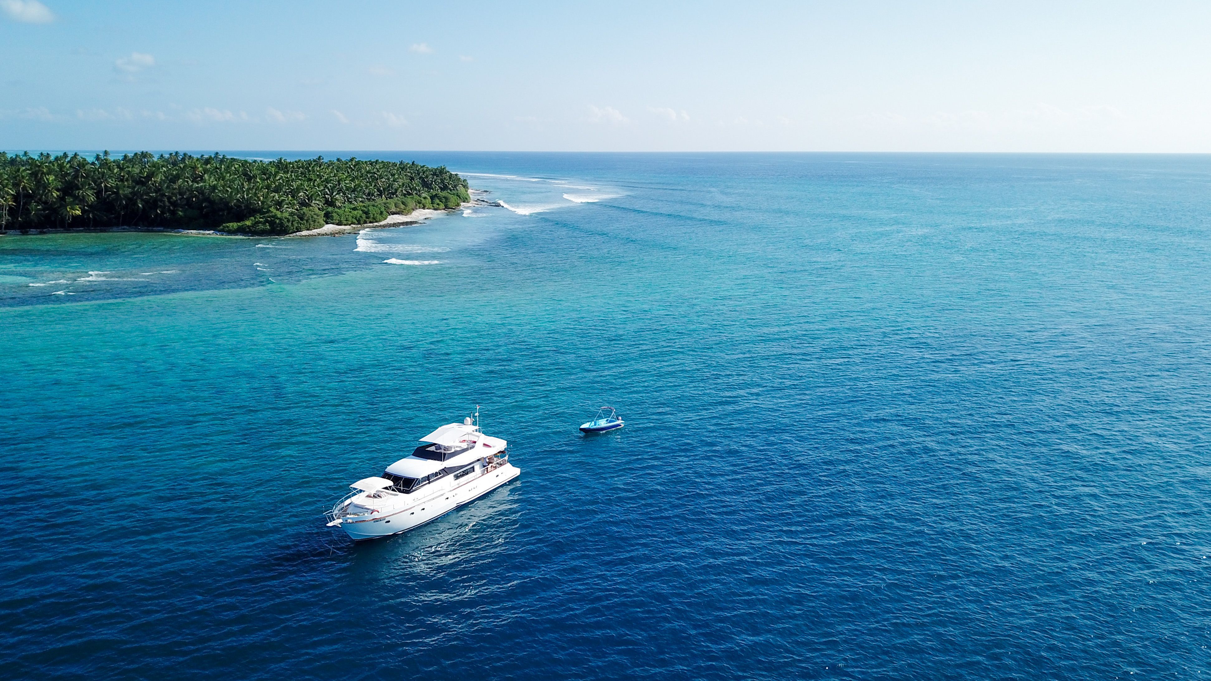 Falcon 650 | Fascination