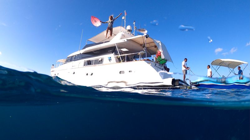 Falcon 650 | Fascination