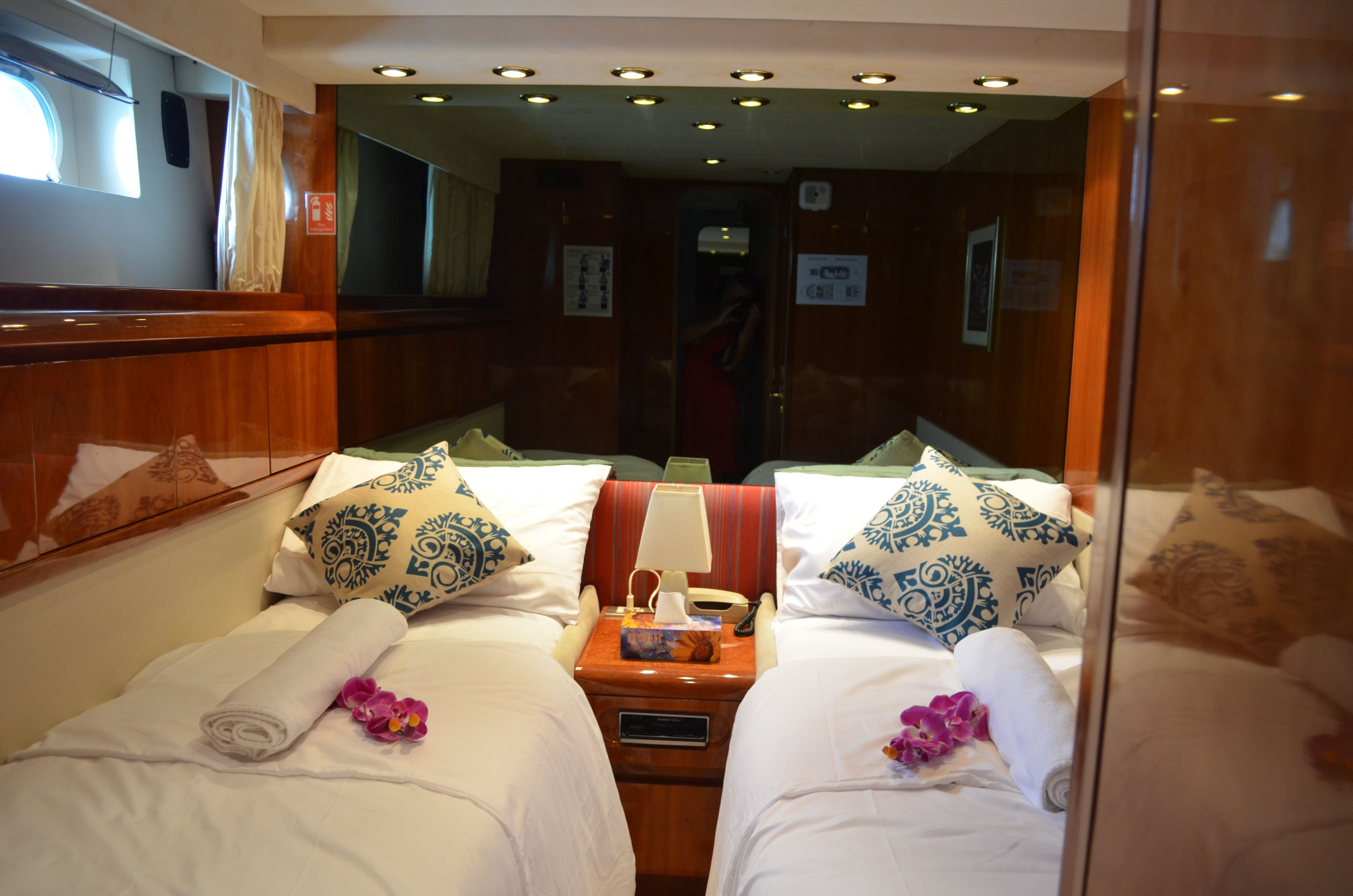 Falcon 650 | Fascination