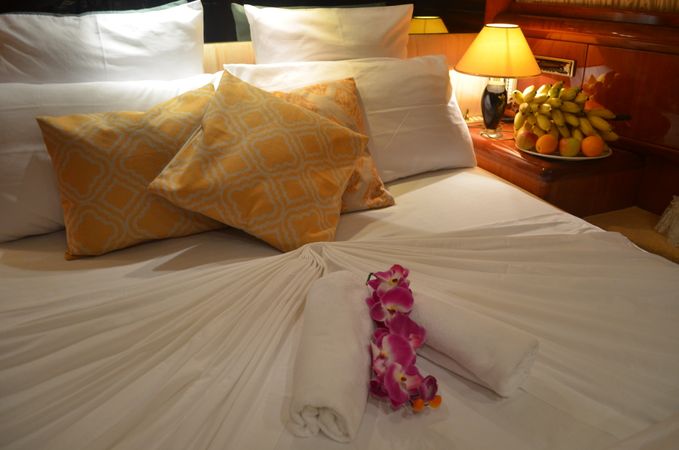 Falcon 650 | Fascination