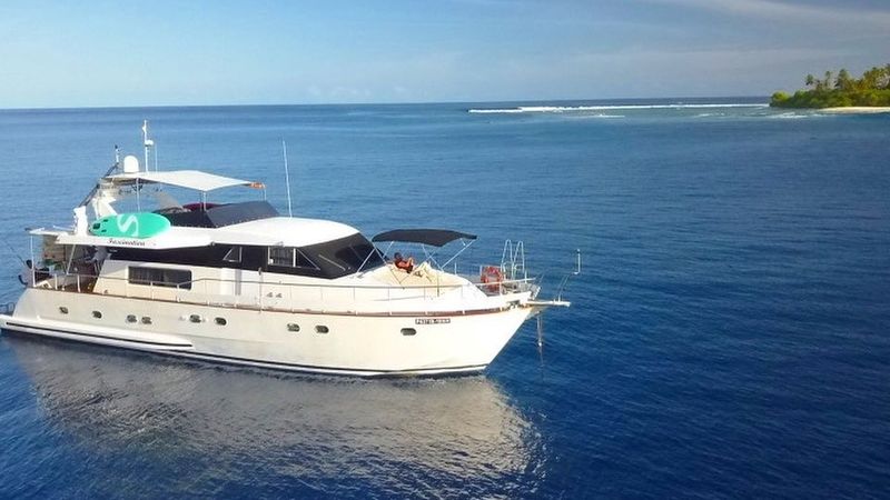 Falcon 650 | Fascination