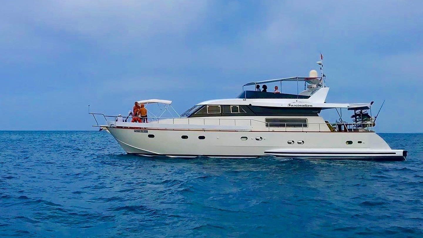 Falcon 650 | Fascination