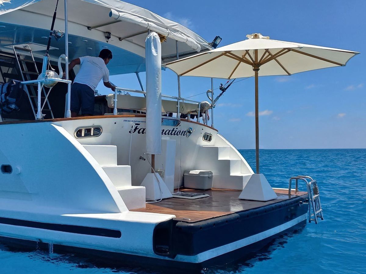 Falcon 650 | Fascination