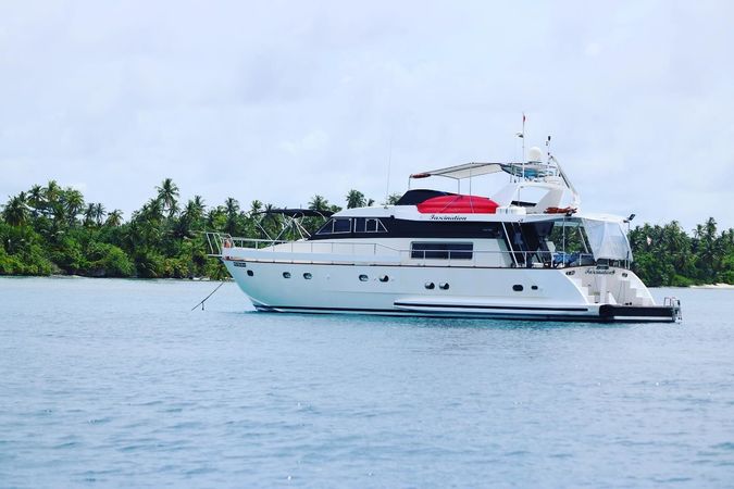 Falcon 650 | Fascination