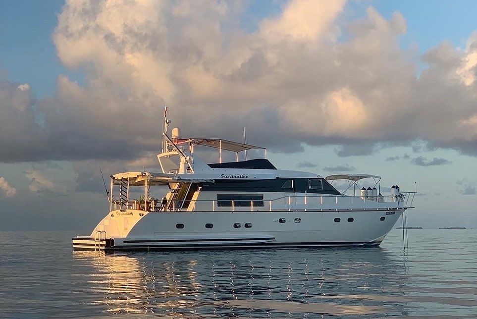 Falcon 650 | Fascination