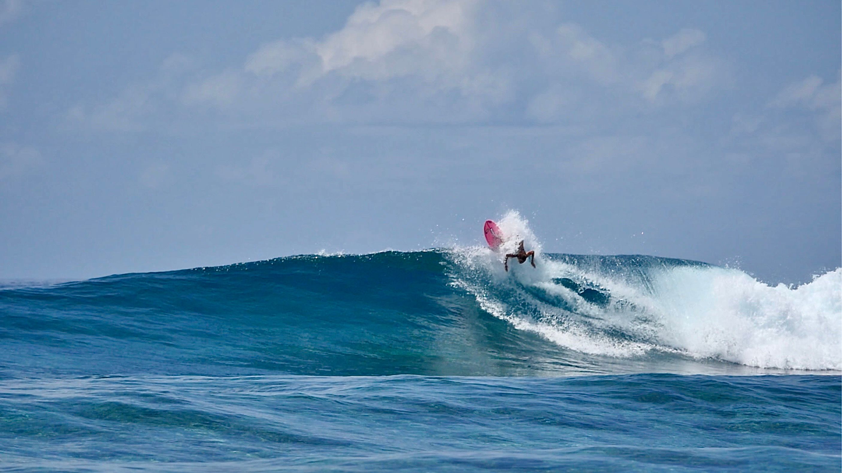 Falcon 650 | Fascination