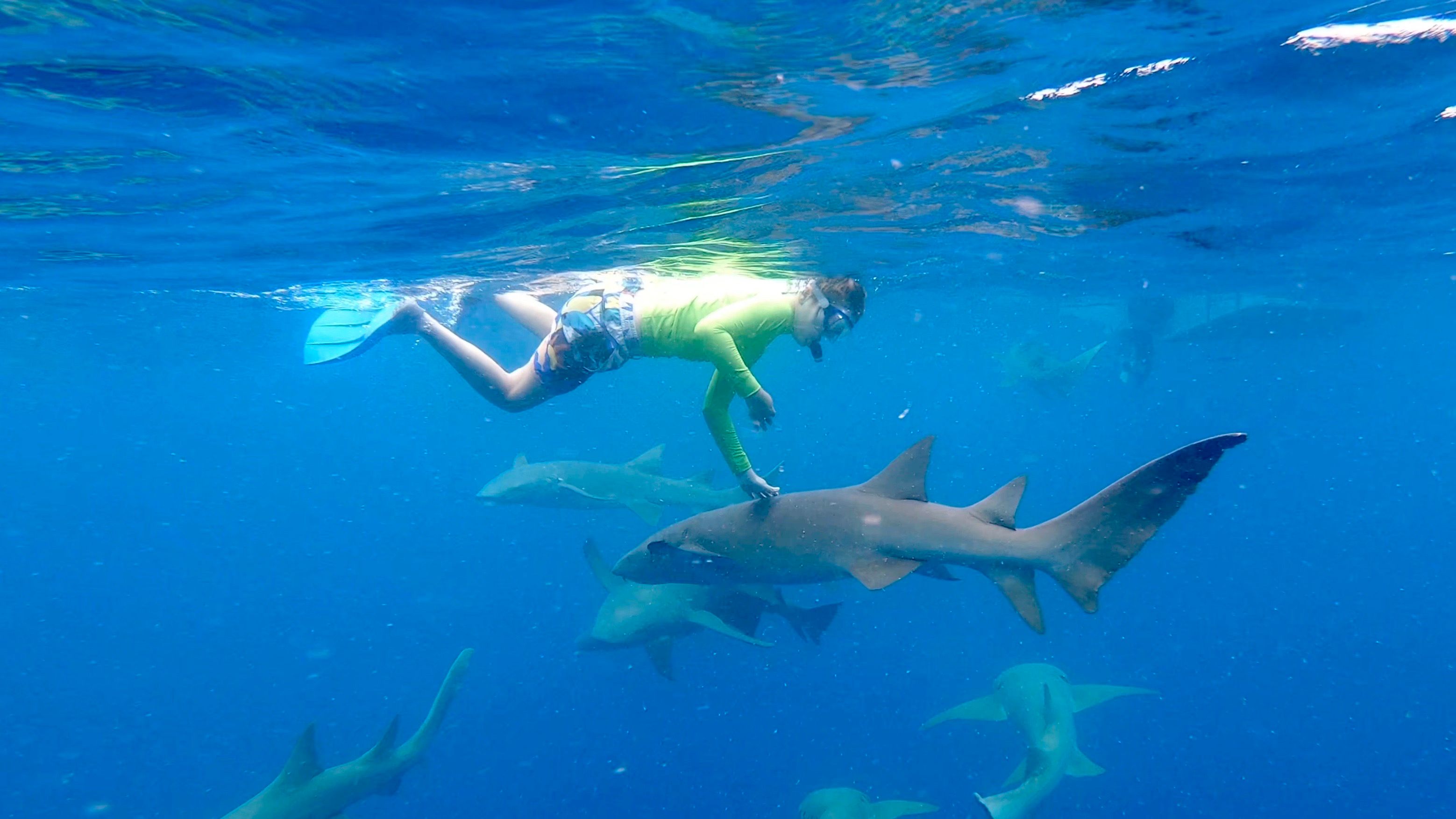 Falcon 650 | Fascination