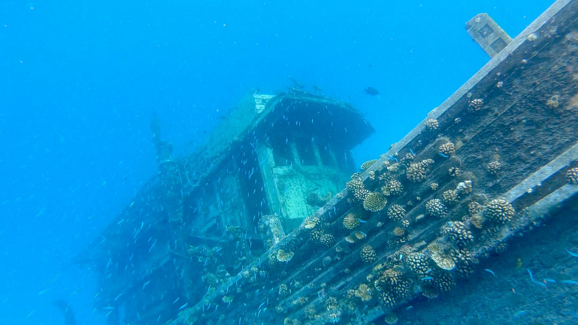 Falcon 650 | Fascination