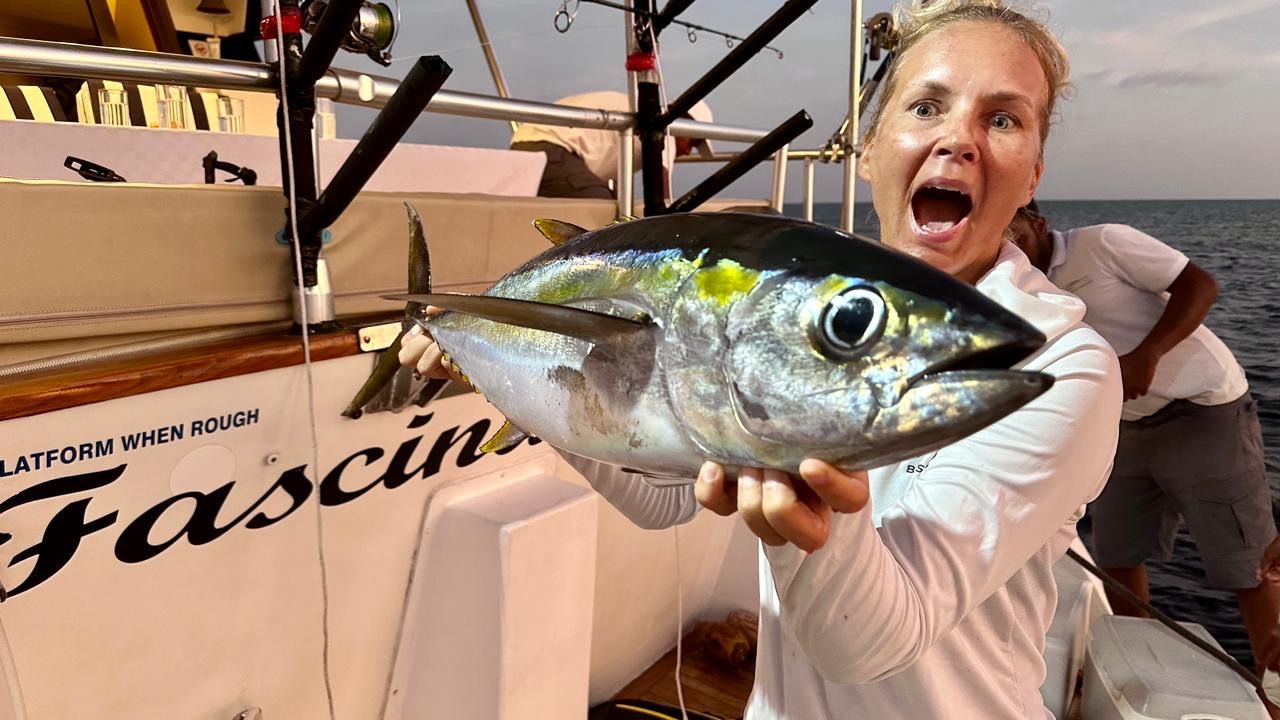 Falcon 650 | Fascination