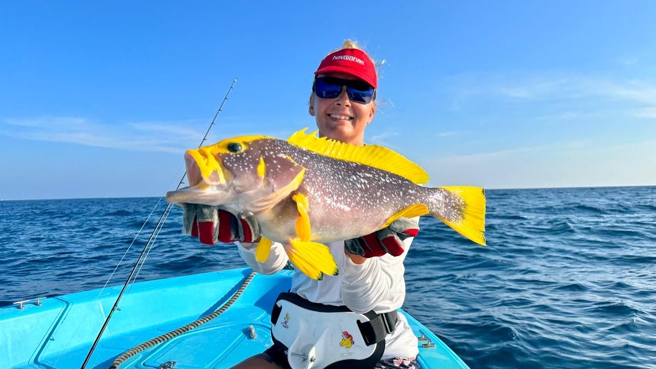 Falcon 650 | Fascination