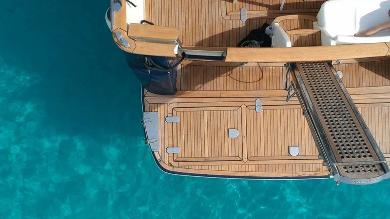 ACM Dufour Dynasty 43 | Sissy