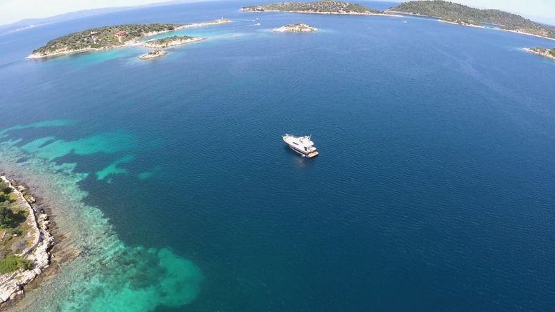 ACM Dufour Dynasty 43 | Sissy